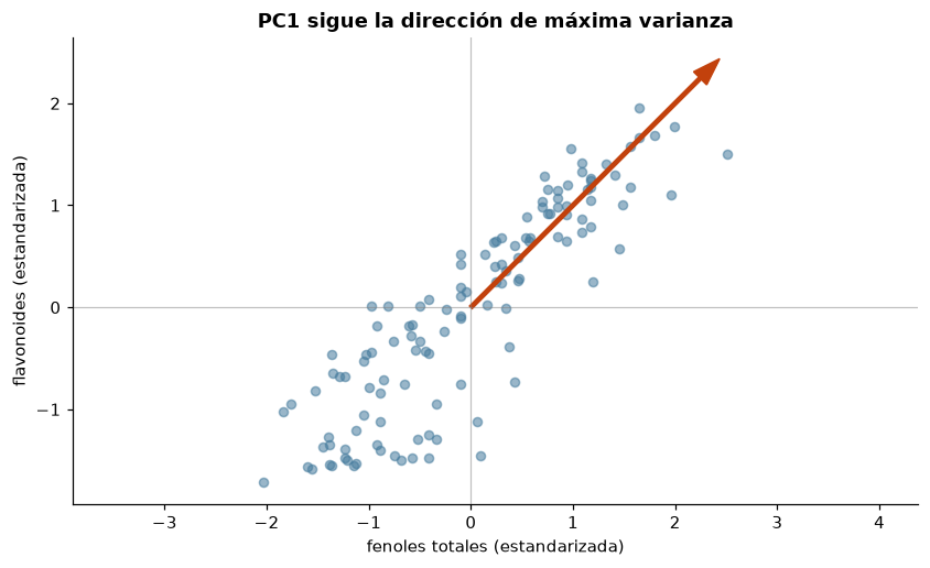 Plano de fenoles y flavonoides estandarizados del entrenamiento; PC1 sigue la dirección larga de la nube.
