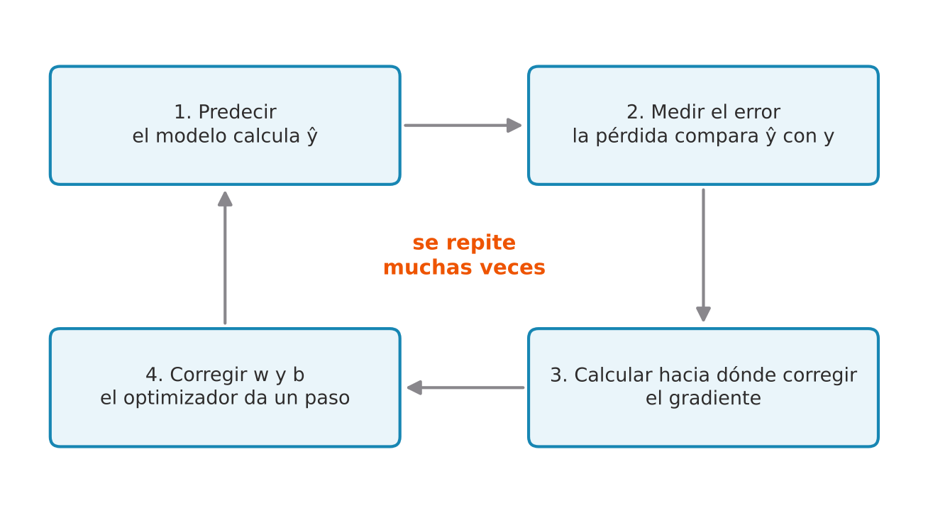 Cuatro cajas conectadas en círculo por flechas: 1 predecir, el modelo calcula y gorro; 2 medir el error, la pérdida compara y gorro con y; 3 calcular hacia dónde corregir, el gradiente; 4 corregir w y b, el optimizador da un paso. En el centro dice se repite muchas veces.